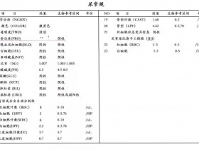 别再被尿蛋白加号(+)騙了(le),更準的(de)是這(zhè)兩個(gè)檢查!